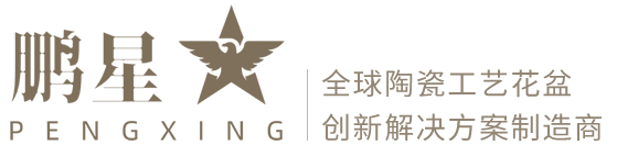 鹏星国际